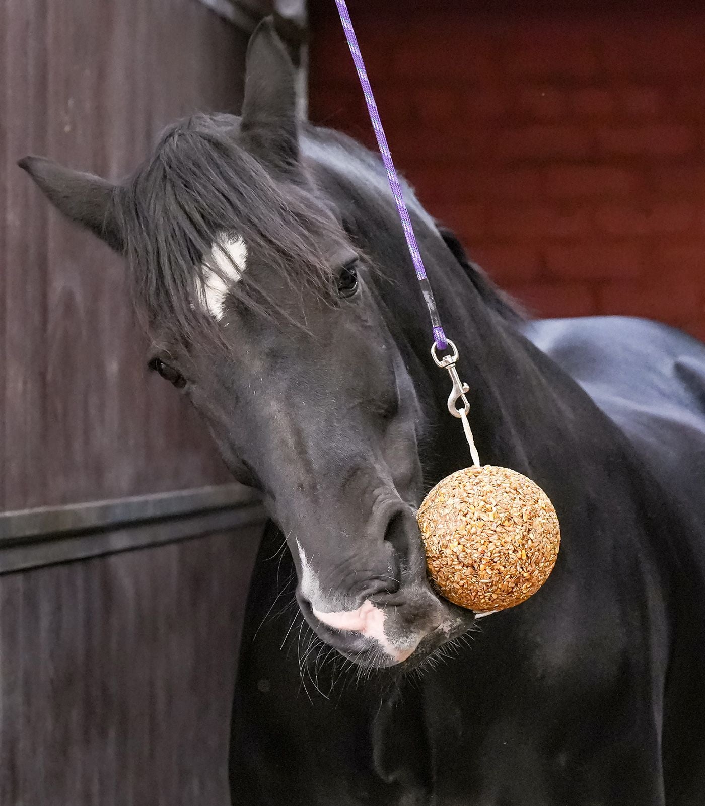 Likit Granola Apple Stall Ball - Horse Treat Toy - 1.6kg
