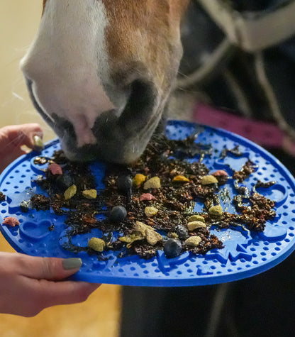 Likit Graze Maze Lick Mat - Horse Treat Toy