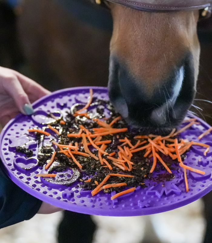 Likit Paste for Graze Maze Lick Mat - 1.2kg Horse Treat Paste