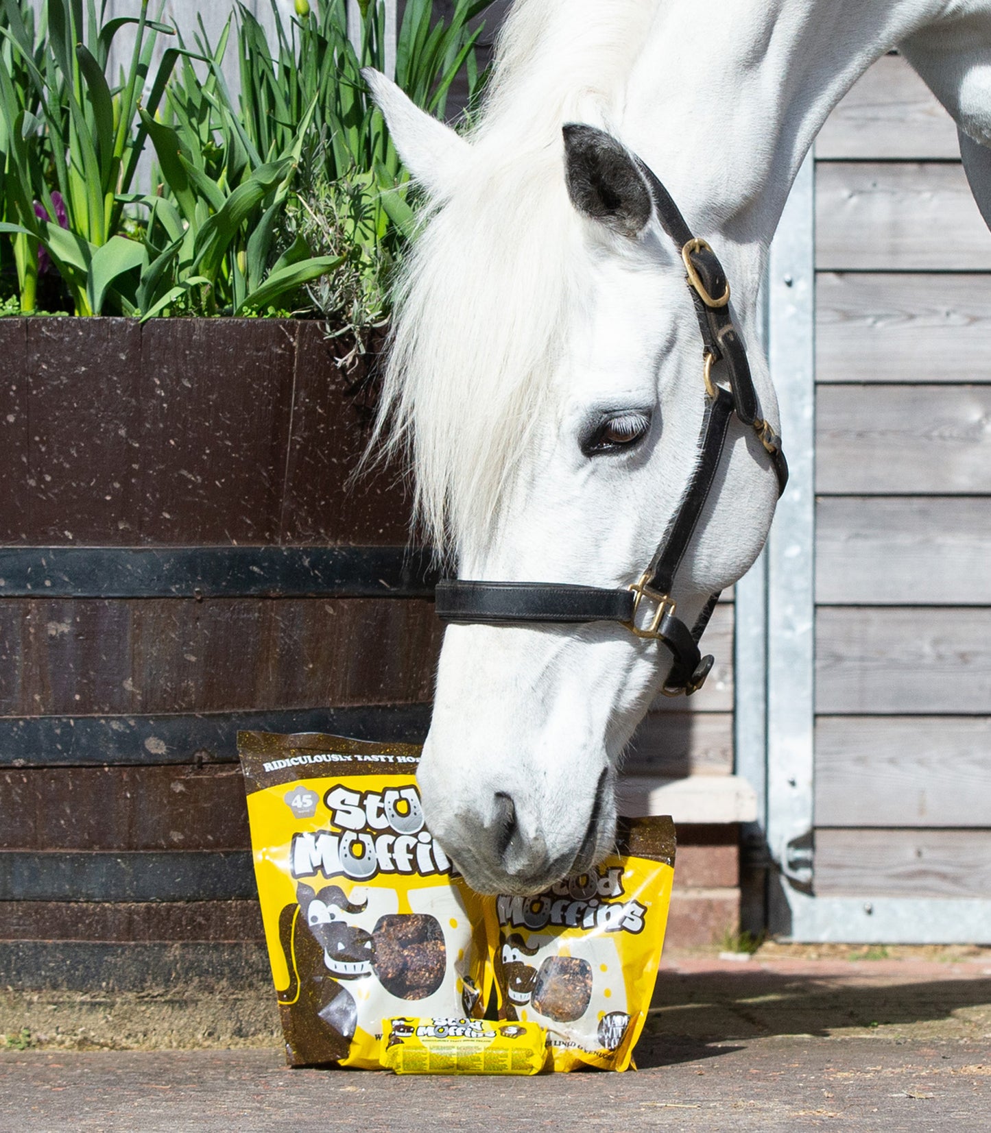 Stud Muffins Horse Treats - 15 Piece Pack