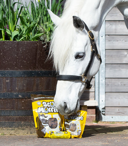Stud Muffins Horse Treats - 15 Piece Pack