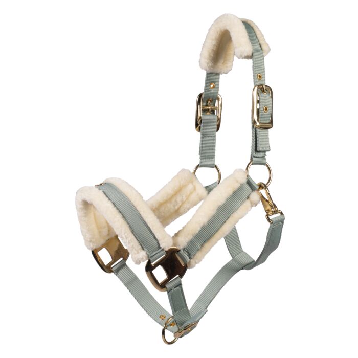 Limone Elegant Head Collar - Horse Headcollar