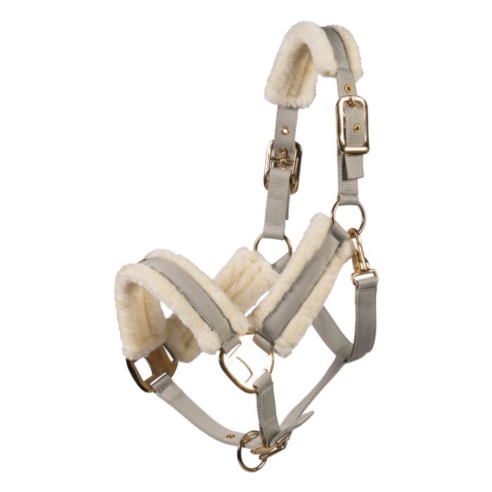 Limone Elegant Head Collar - Horse Headcollar