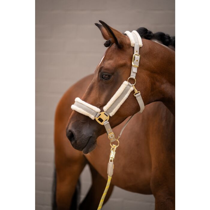 Limone Elegant Head Collar - Horse Headcollar