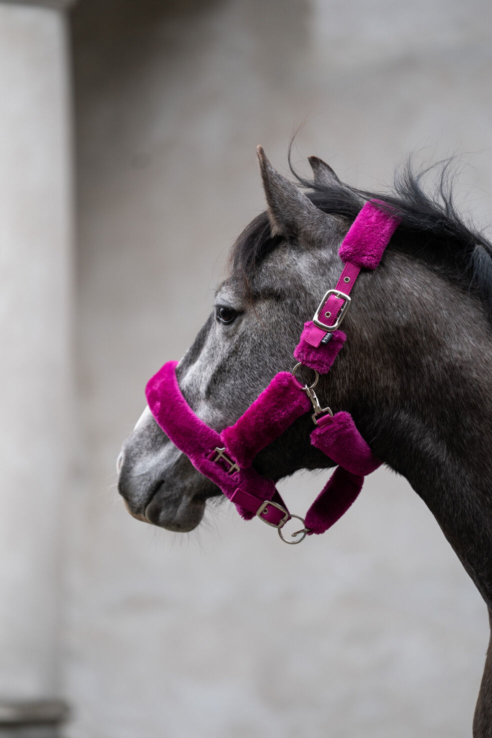 HKM Head Collar -Comfort-