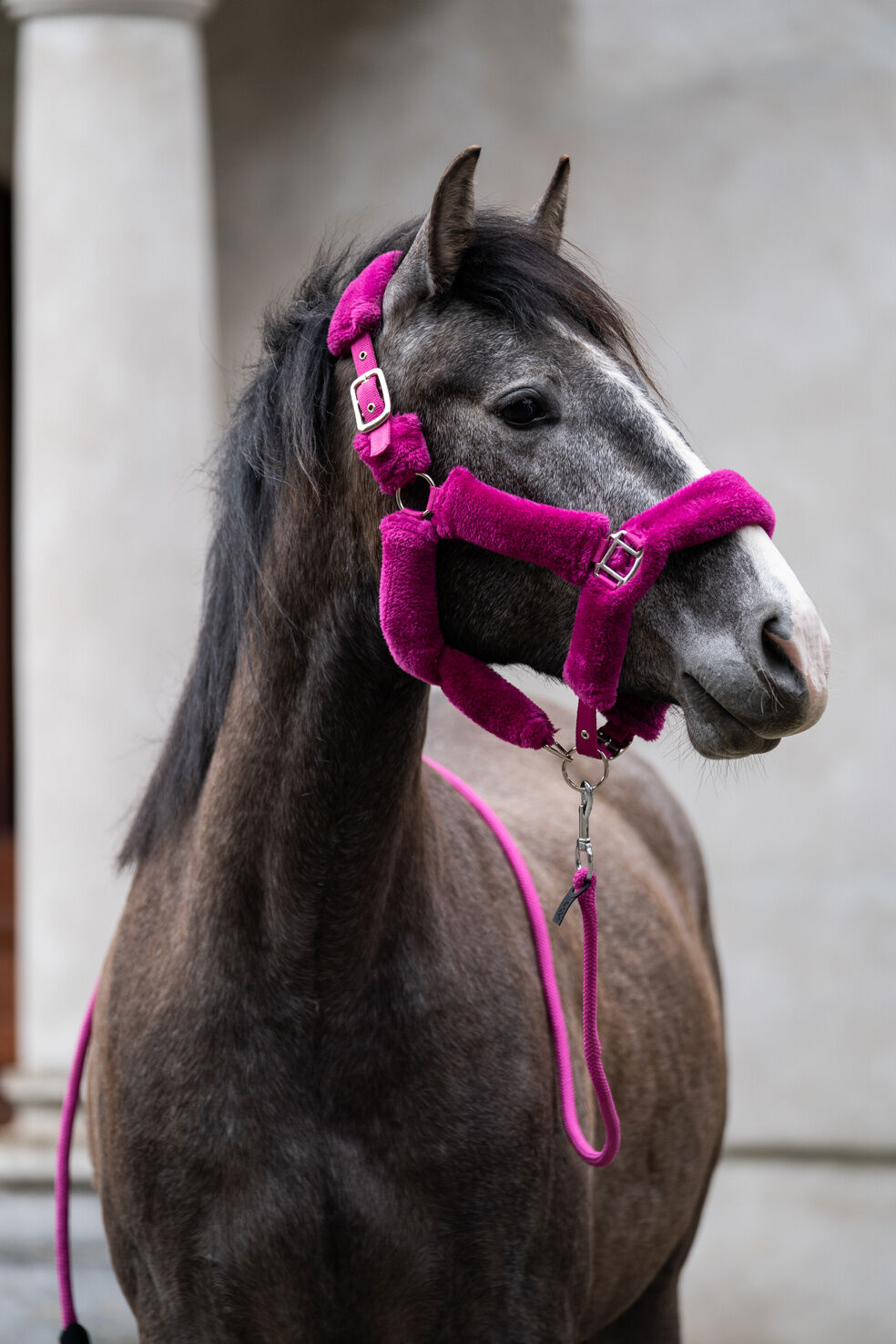 HKM Head Collar -Comfort-