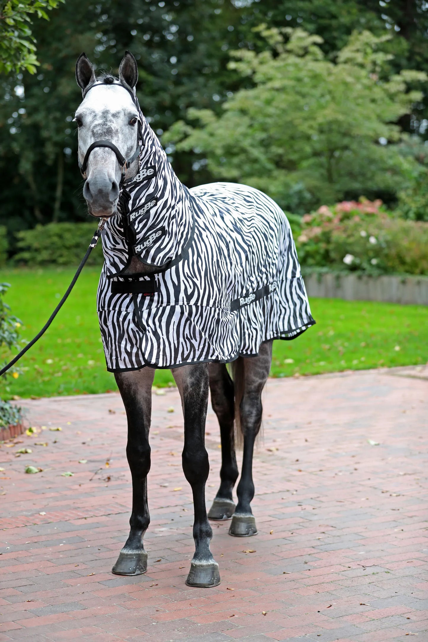 RugBe Zebra Fly & Eczema Blanket - Horse Fly Protection Rug