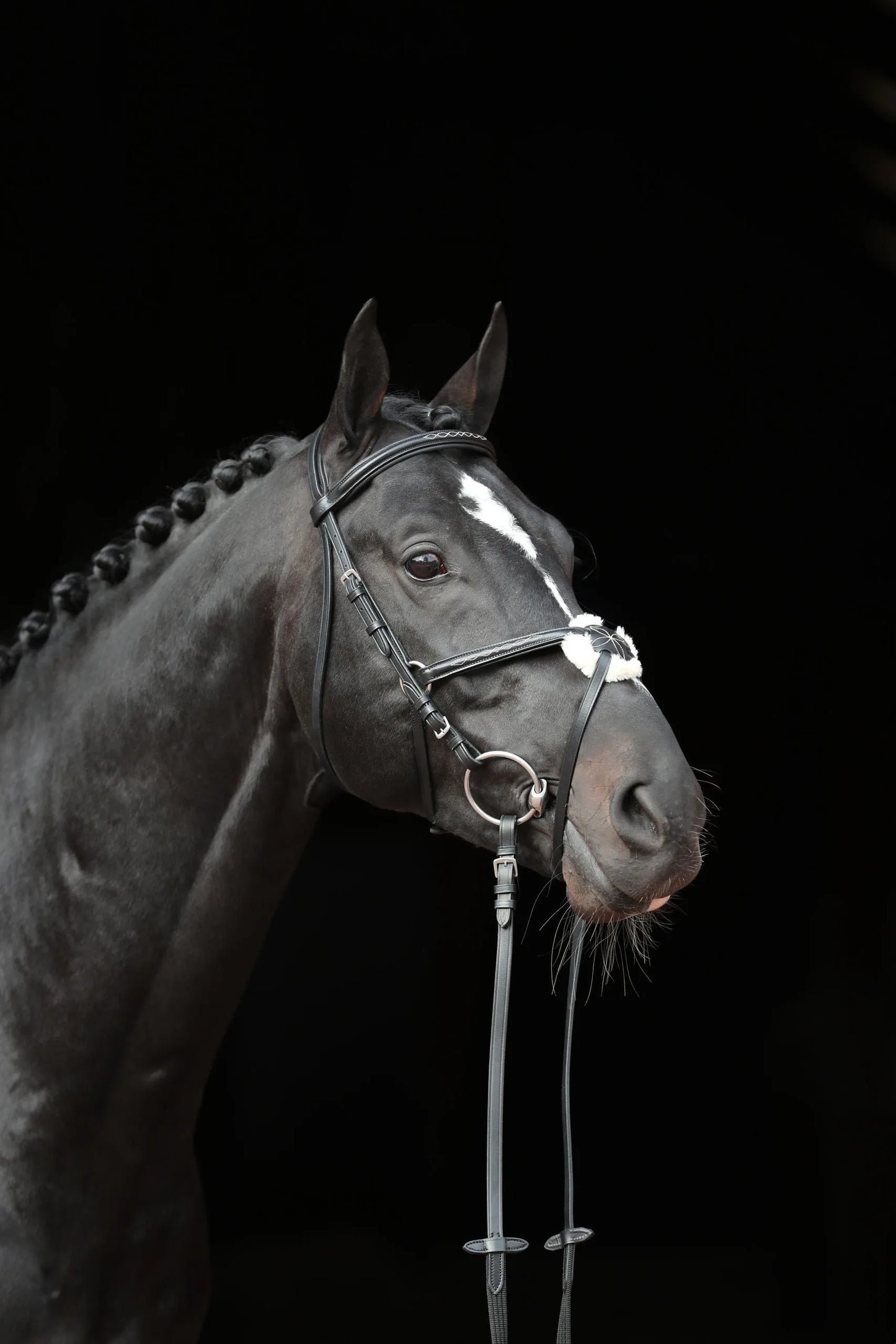 Cancun Snaffle Bridle - Leather Horse Bridle