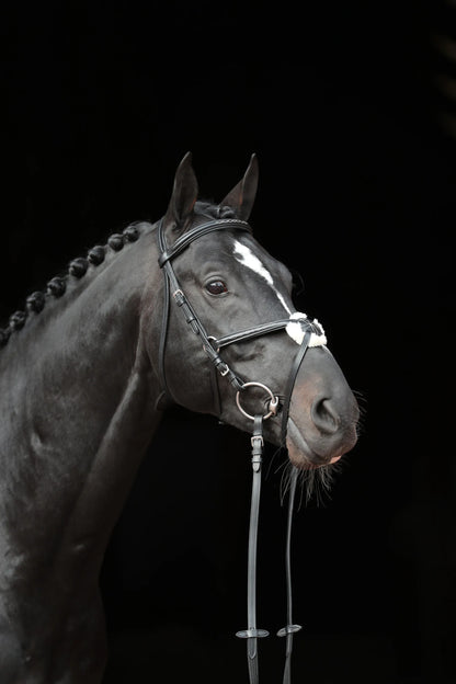 Cancun Snaffle Bridle - Leather Horse Bridle