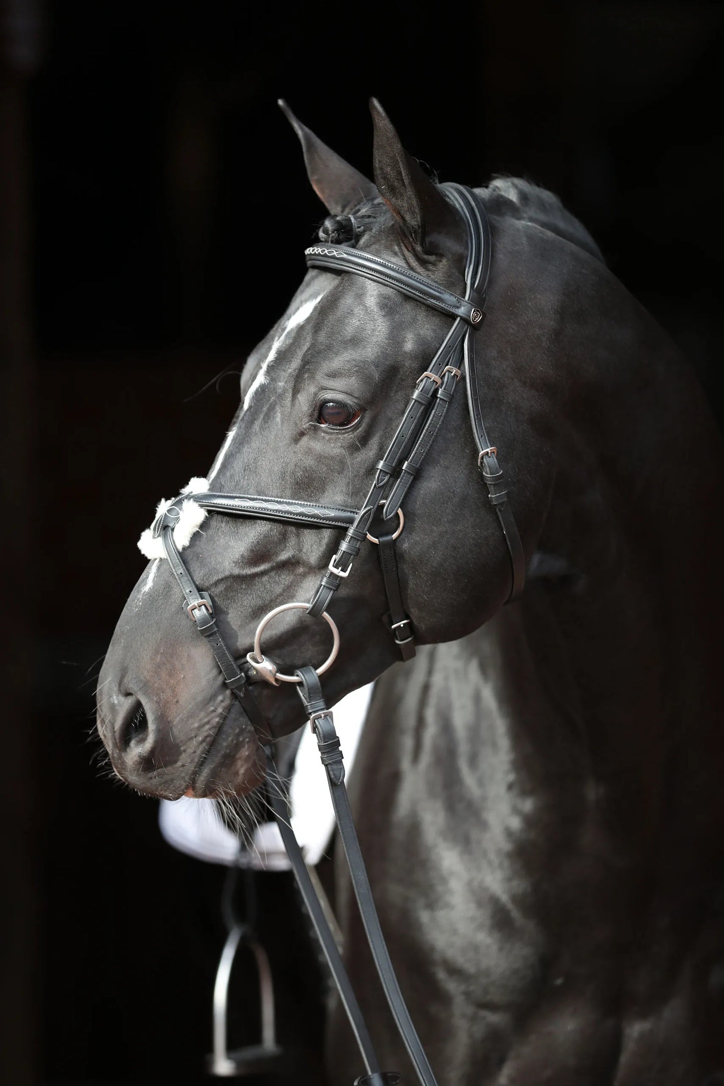 Cancun Snaffle Bridle - Leather Horse Bridle