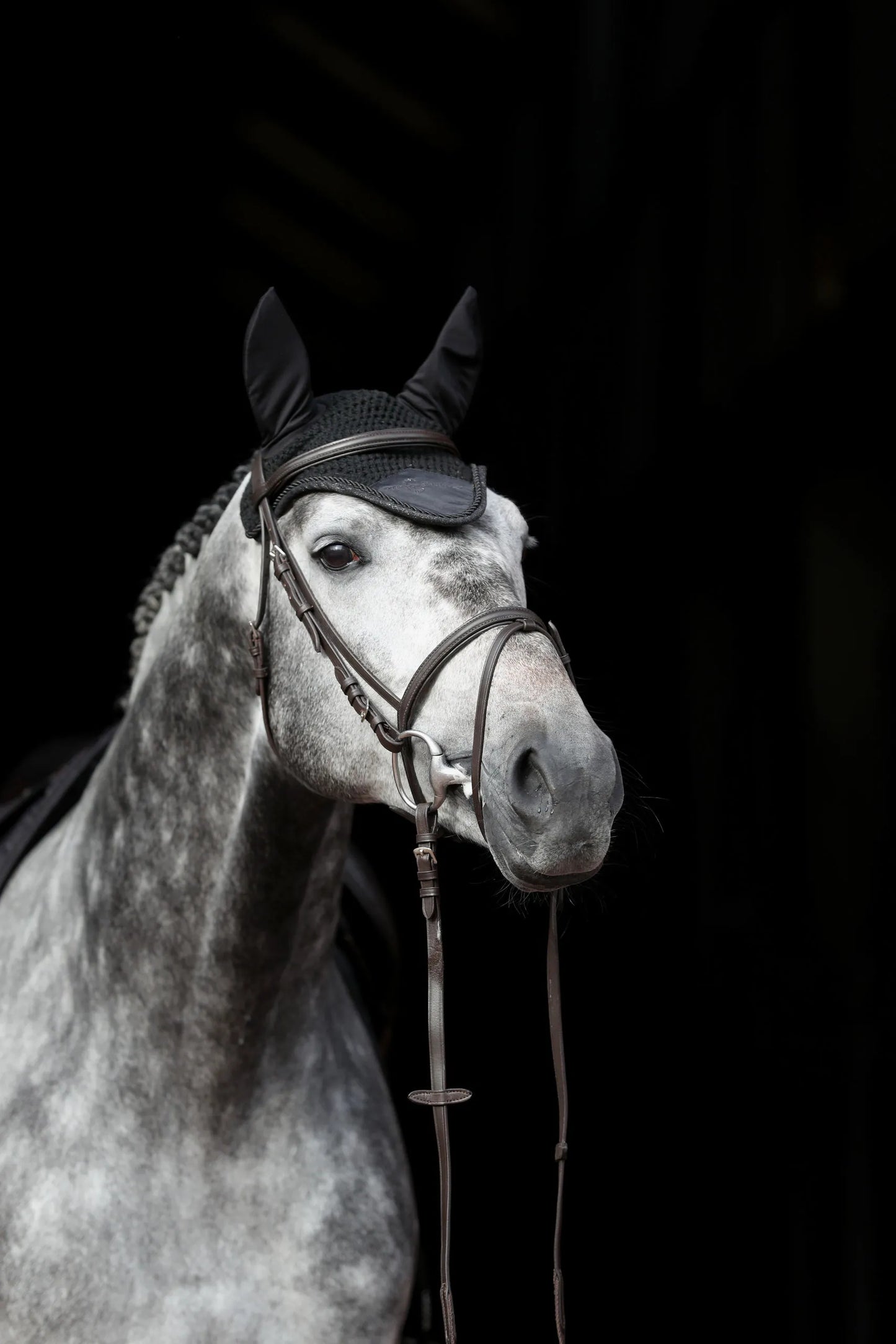 Empara Fly Mask - Horse Fly Protection Mask