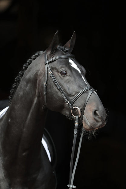 Covalliero Standard Snaffle Bridle
