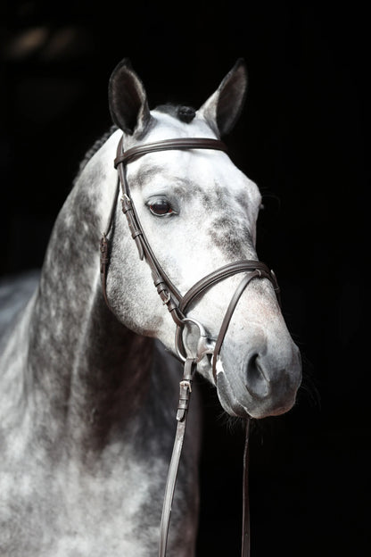 Covalliero Standard Snaffle Bridle