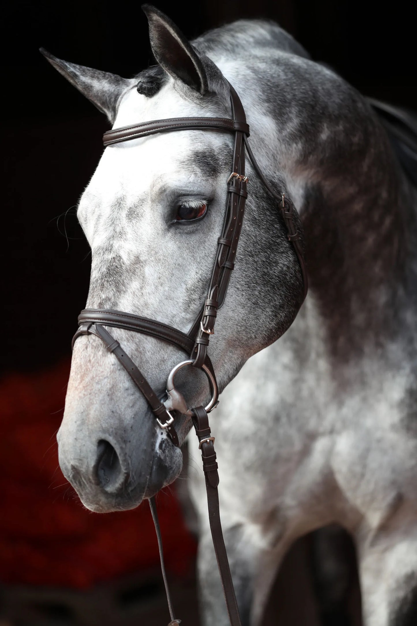 Covalliero Standard Snaffle Bridle