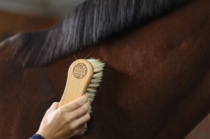 MagicBrush Combi Horse Brush - Grooming & Coat Care Brush