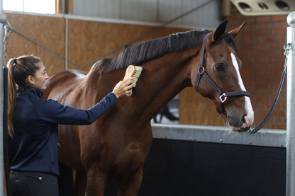 MagicBrush Combi Horse Brush - Grooming & Coat Care Brush