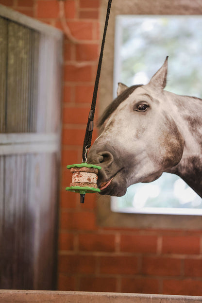 Delizia Lick Stone Holder - Horse Treat & Mineral Block Holder