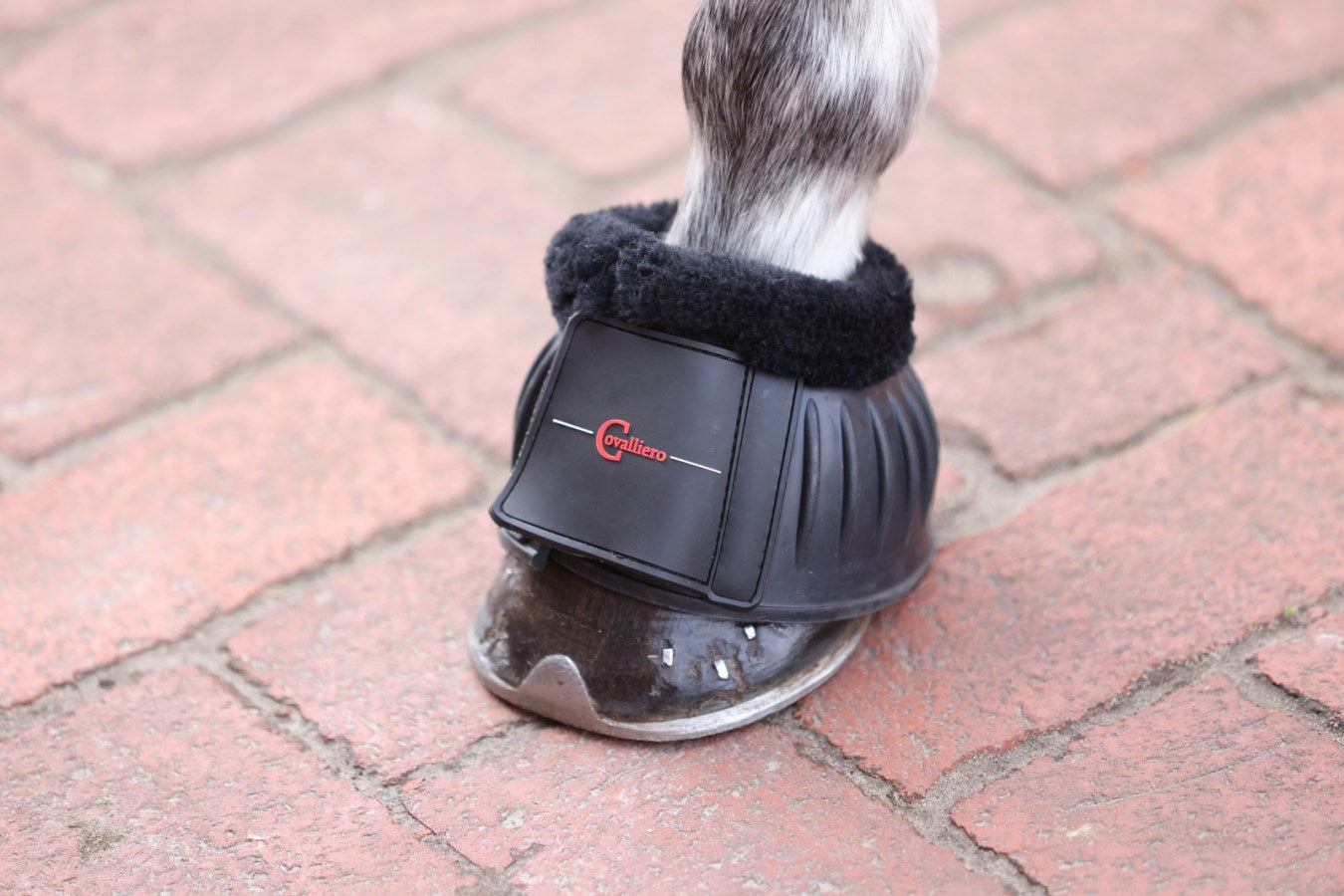 Rubber Hoof Boots with Teddy Fleece - Horse Over Reach Boots