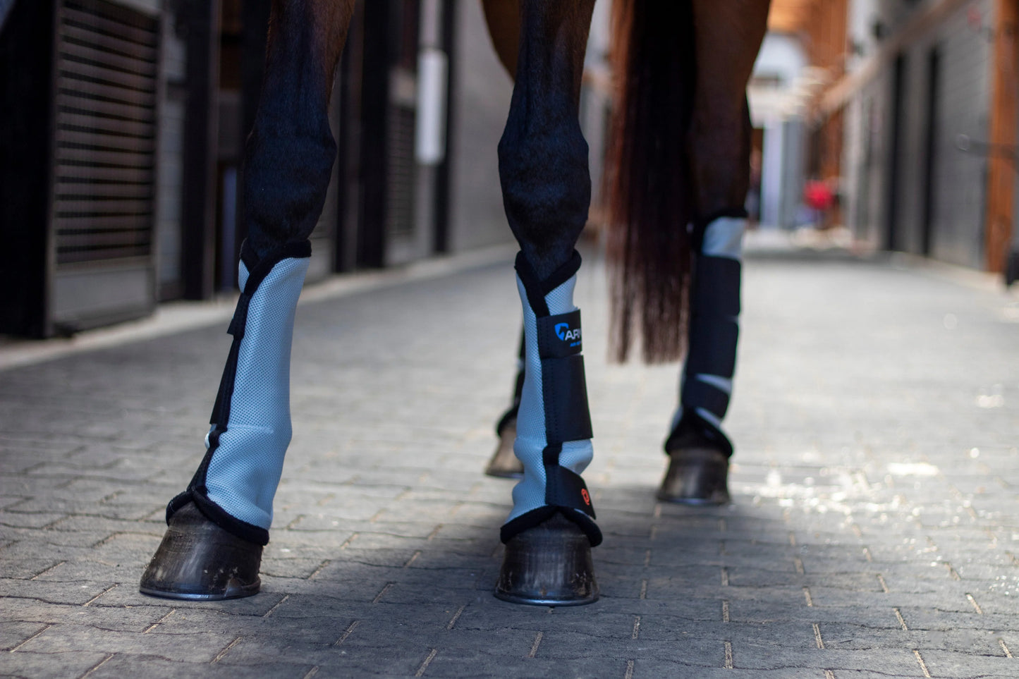ARMA Fly Boots - Breathable Horse Fly Leg Boots