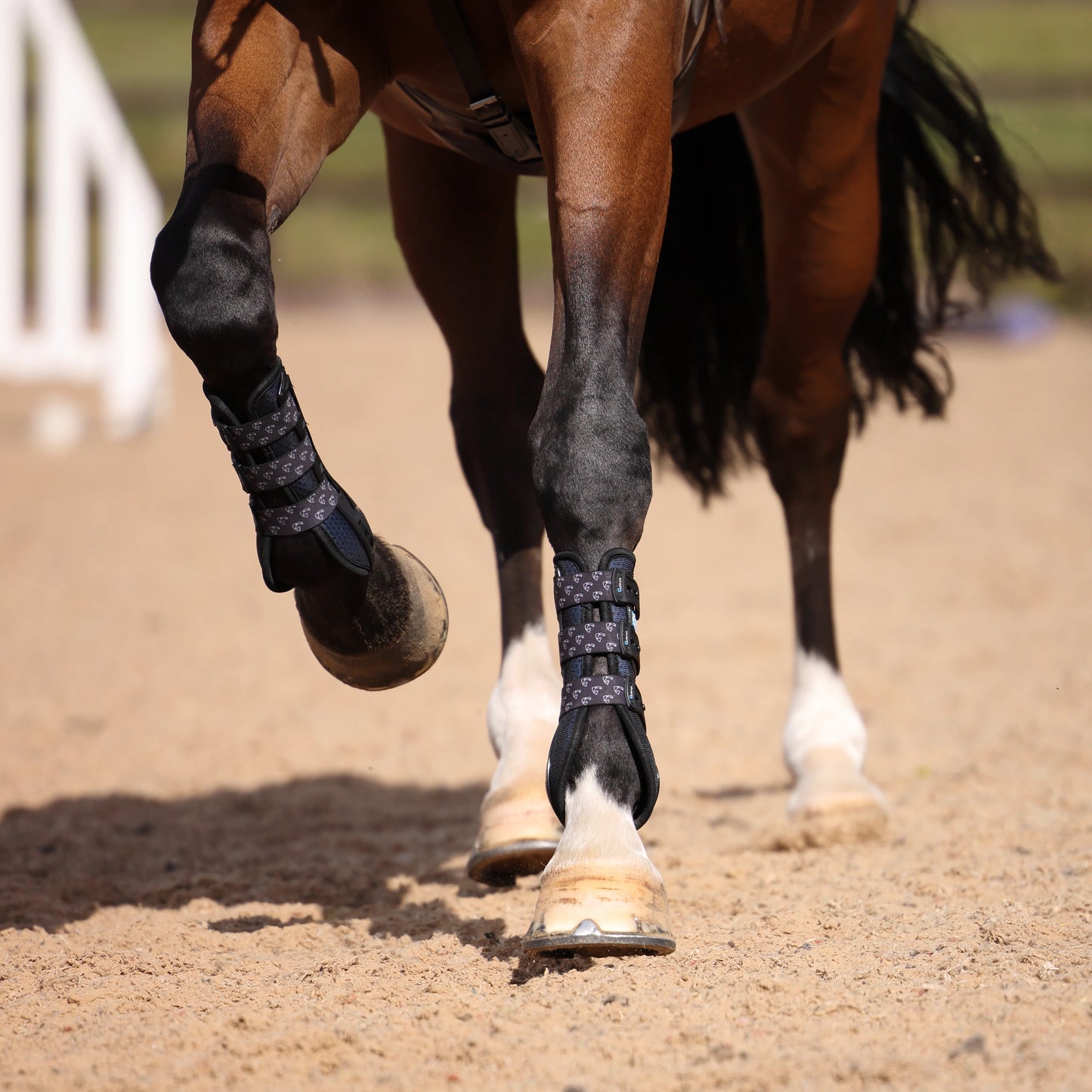 ARMA Carbon Tendon Boots - Horse Tendon Protection Boots