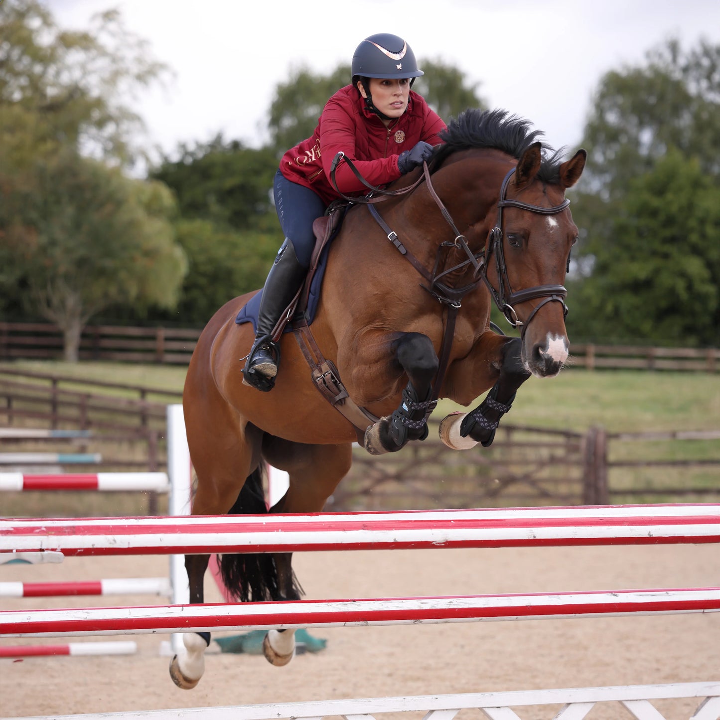ARMA Carbon Tendon Boots - Horse Tendon Protection Boots