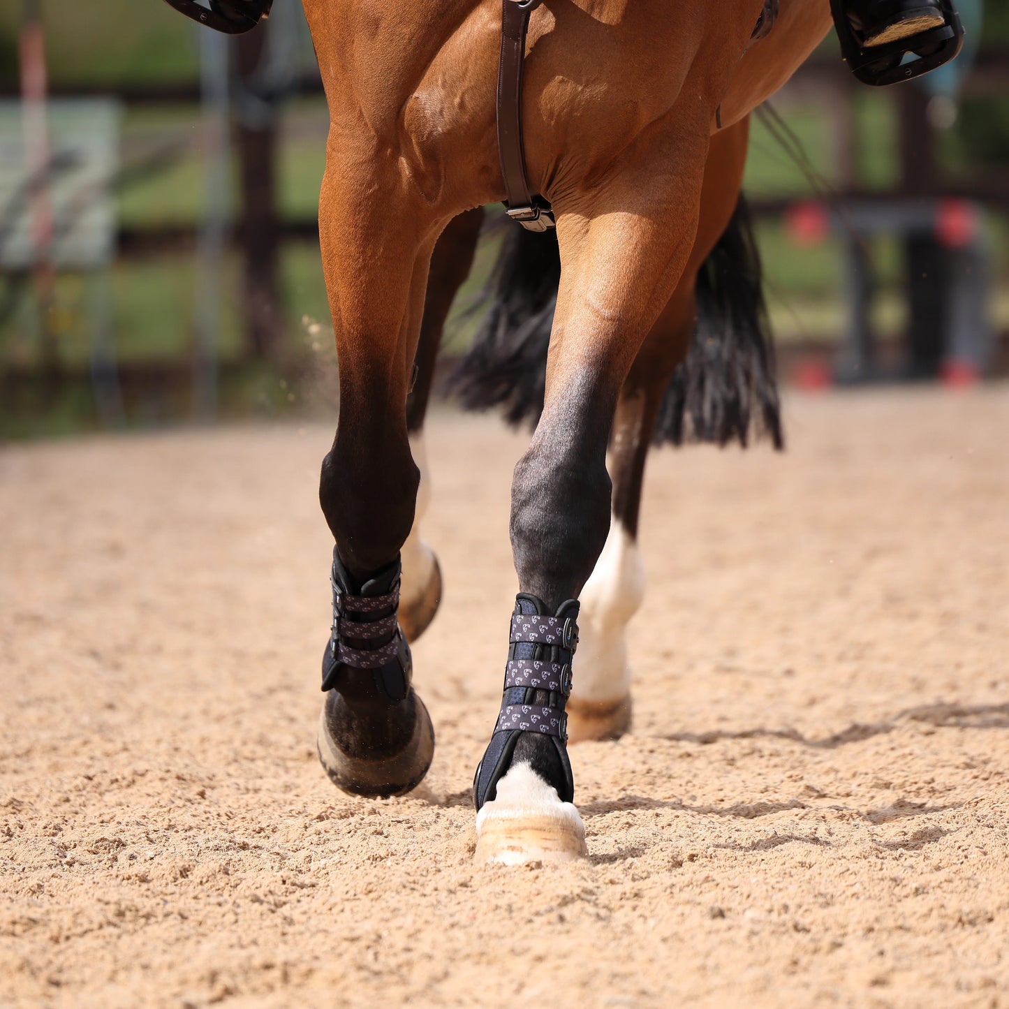 ARMA Carbon Training Boots - Lightweight Horse Training Boots
