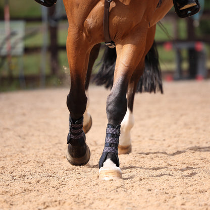 ARMA Carbon Training Boots - Lightweight Horse Training Boots