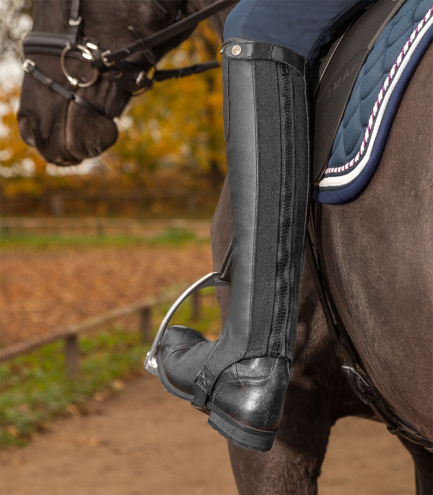 Exclusive Mini Chaps - Equestrian Half Chaps
