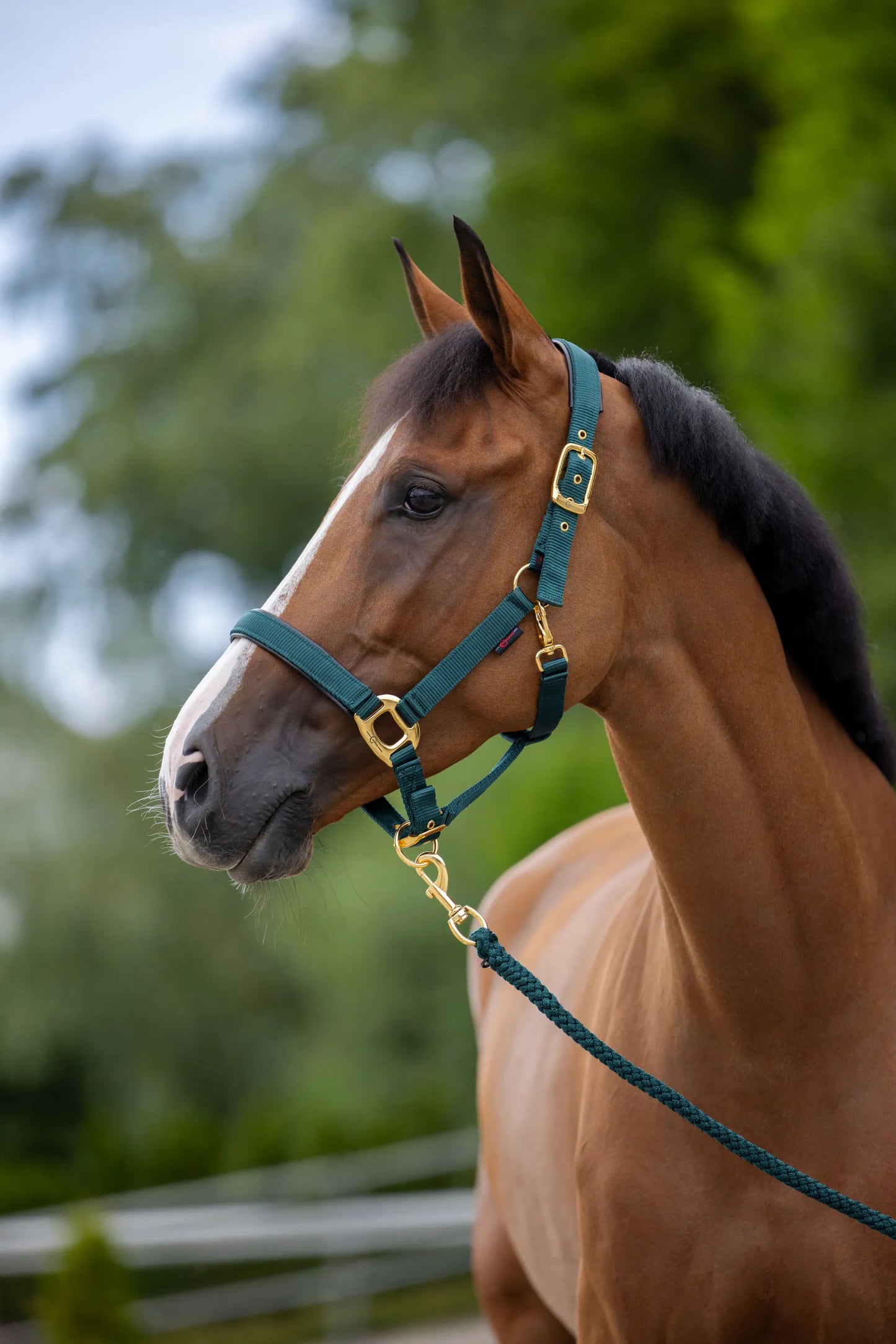 TopLine Horse Halter - Adjustable Headcollar