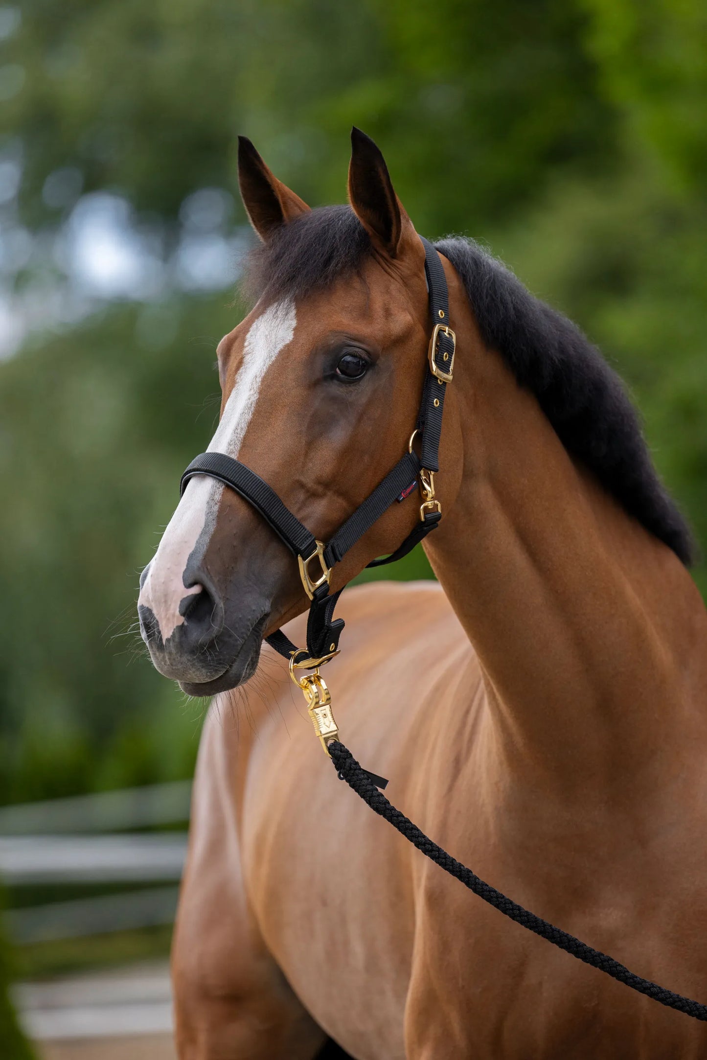 TopLine Horse Halter - Adjustable Headcollar
