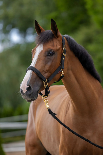 TopLine Horse Halter - Adjustable Headcollar