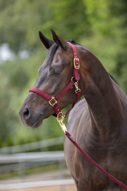 Classy Horse Halter - Adjustable Headcollar