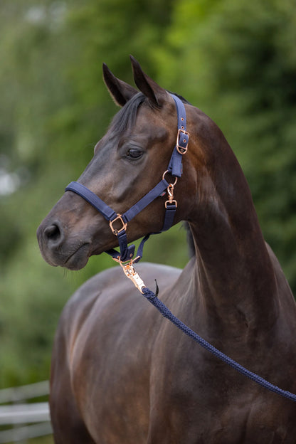 Classy Horse Halter - Adjustable Headcollar