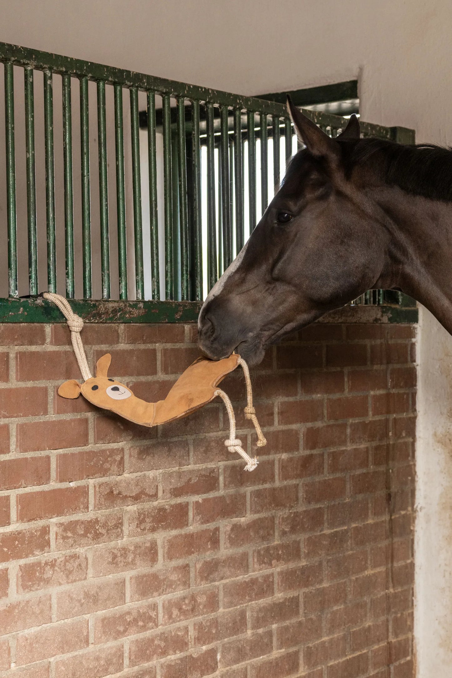 Plush Horse Stable Toy - Llama