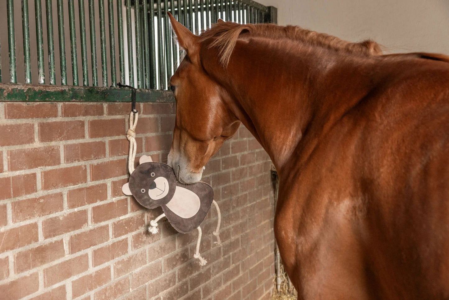 Plush Horse Stable Toy - Bear