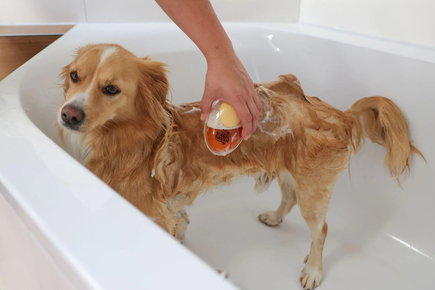 MagicBrush Bath Brush - Horse Grooming Brush