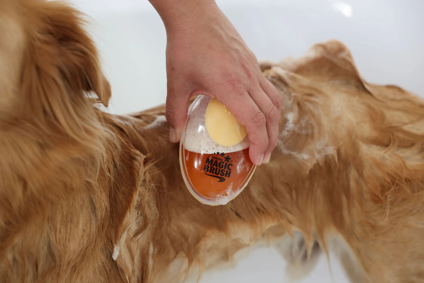 MagicBrush Bath Brush - Horse Grooming Brush