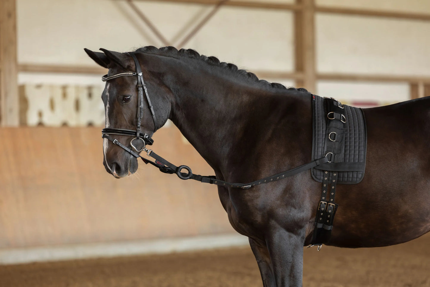Side Reins - Horse Lunging & Training Aid