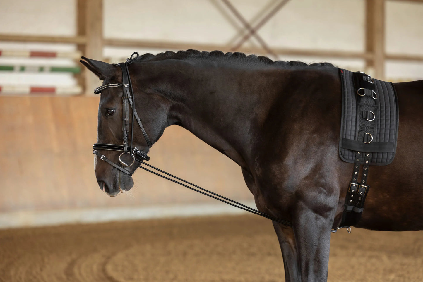Black Neck Extender - Horse Training Aid