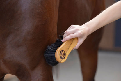MagicBrush Coarse Cleaning Brush - Wood & Arenga Stable Brush