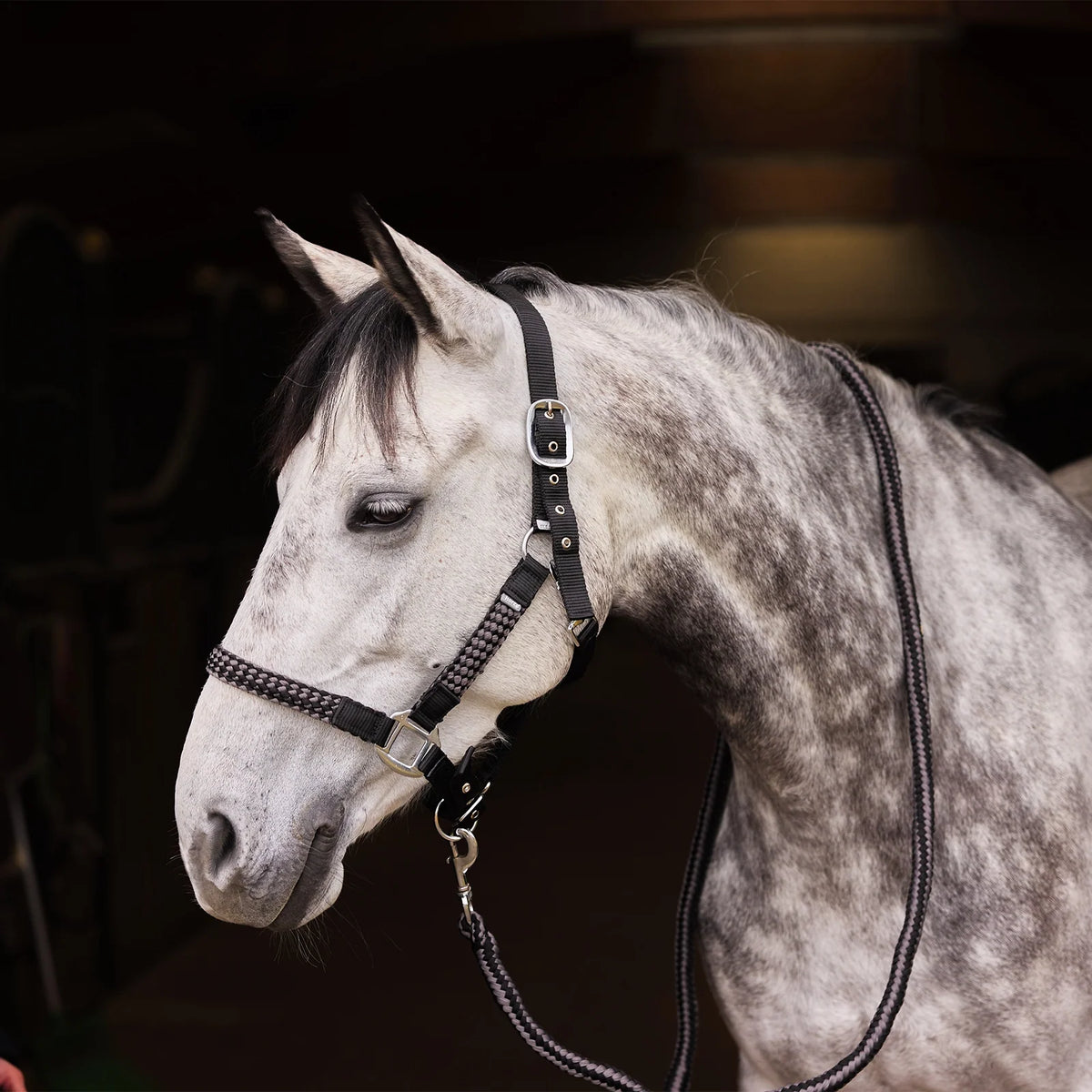 Horze Chicago Halter & Lead Rope Set