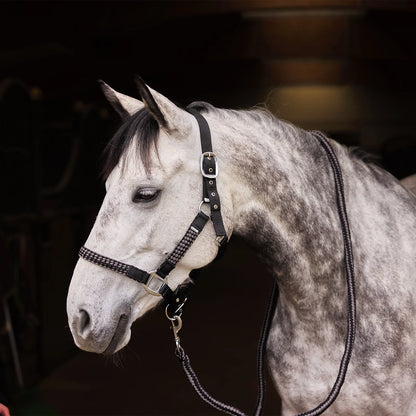 Horze Chicago Halter & Lead Rope Set