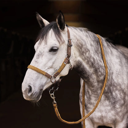 Horze Chicago Halter & Lead Rope Set