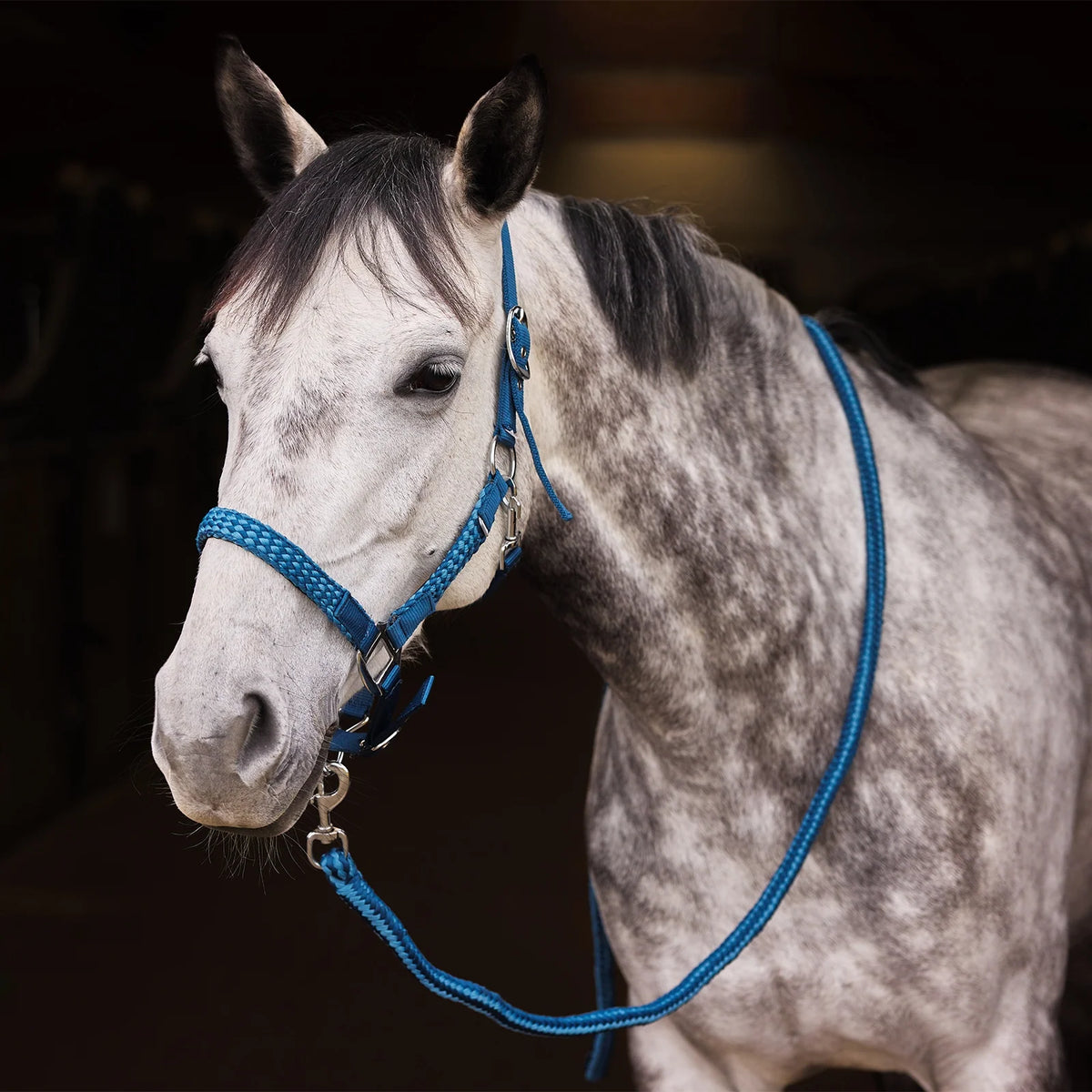 Horze Chicago Halter & Lead Rope Set