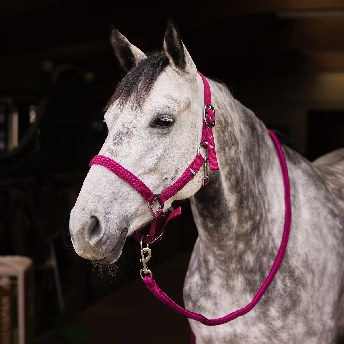 Horze Chicago Halter & Lead Rope Set