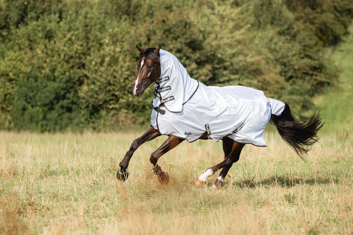 Covalliero RugBe SuperFly Fly Rug - Detachable Neck Cover