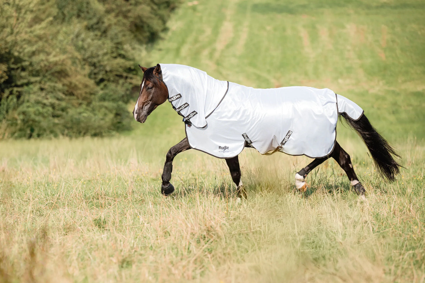 Covalliero RugBe SuperFly Fly Rug - Detachable Neck Cover