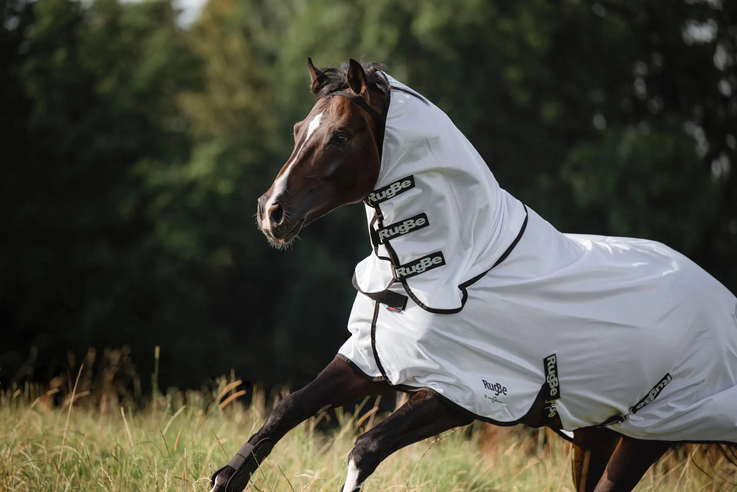 Covalliero RugBe SuperFly Fly Rug - Detachable Neck Cover
