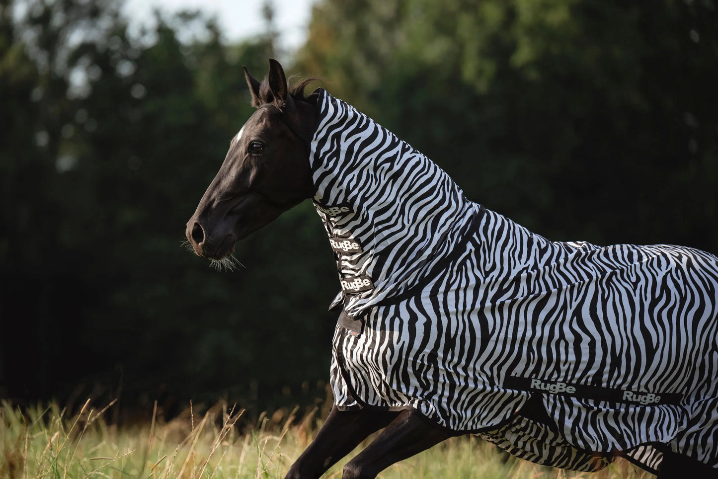 RugBe Zebra Fly & Eczema Blanket - Horse Fly Protection Rug