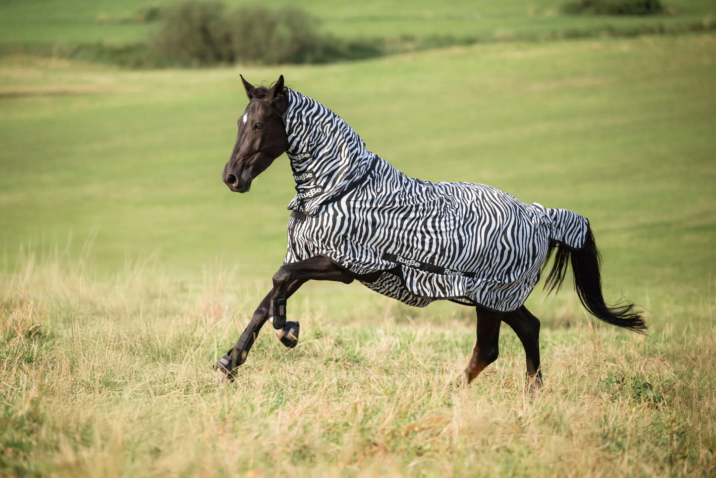 RugBe Zebra Fly & Eczema Blanket - Horse Fly Protection Rug